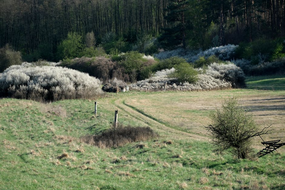 Weidenernte am Flussufer im Frühjahr